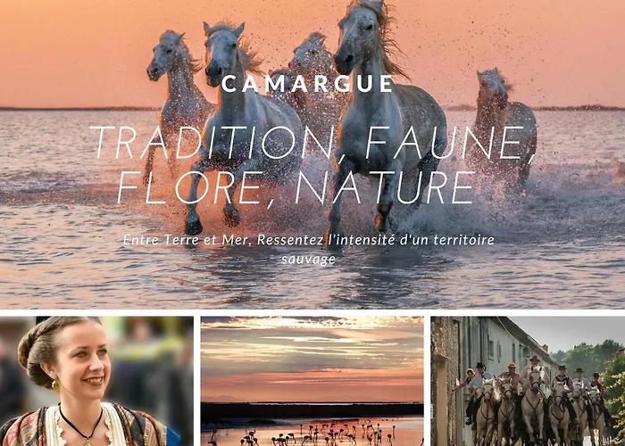 Jardin Du Golf Lejlighed La Grande-Motte